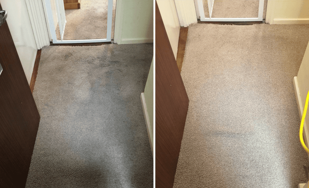 Photo of Carpet Cleaning Eltham