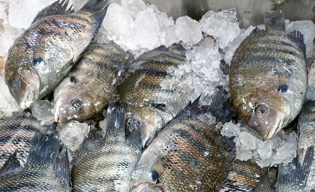 Photo of Taaza fishery
