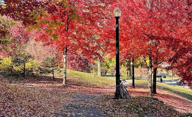 Photo of Place Fletcher's Field