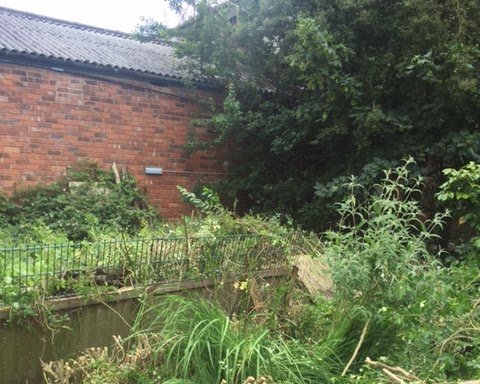 Photo of Garden Fencing Derby