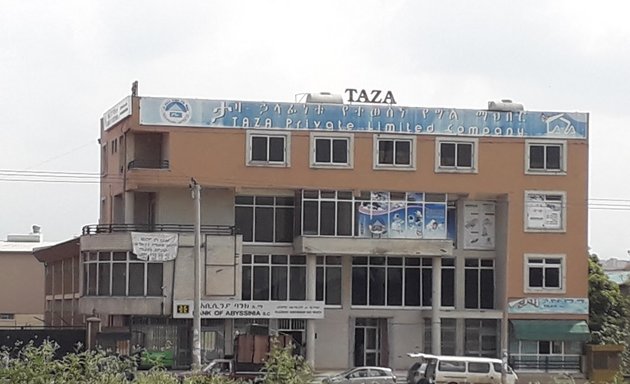 Photo of Taza PLC