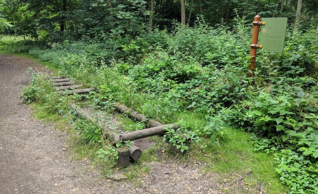 Photo de Terrain sportif du Bois de Boulogne