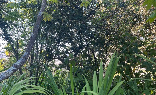 Photo of Melrose/Detroit Botanical Garden