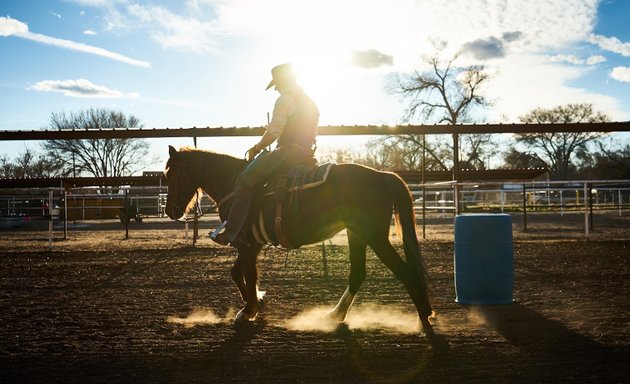 Photo of ABQ Horse Breaking and Training LLC
