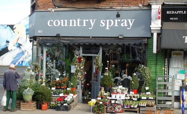 Photo of Country Spray