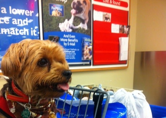 Photo of PetSmart