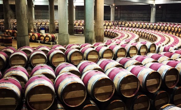 Photo de Bordeaux with Elodie - Wine Tours