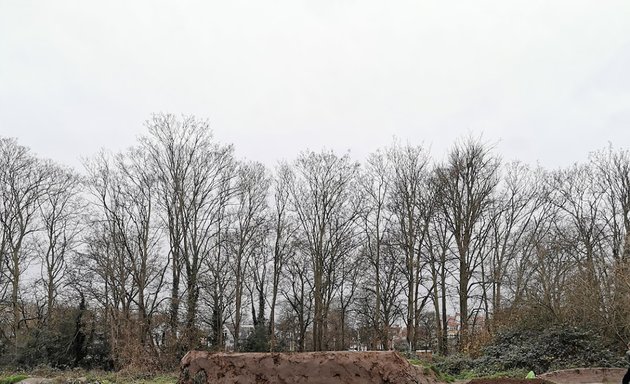 Photo of Teddington Lock Jumps