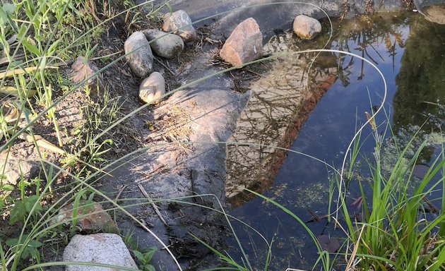 Foto von Garten- und Landschafts- gestaltung, Schnee- und Glättebeseitigung, Ehl GmbH