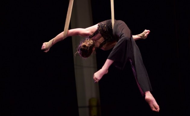 Photo of Gravity Aerial Arts