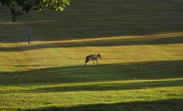 Photo of Hampstead Golf Club