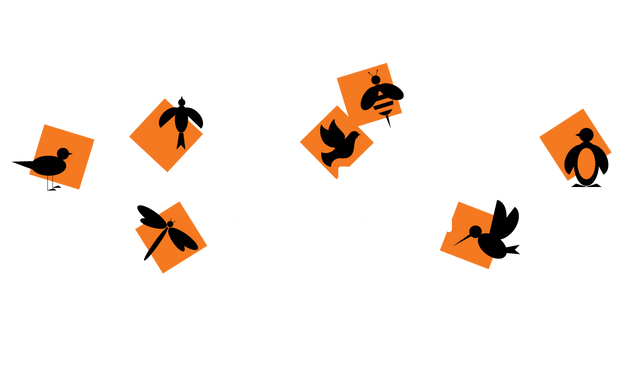 Photo of Montessori Day School of Brooklyn