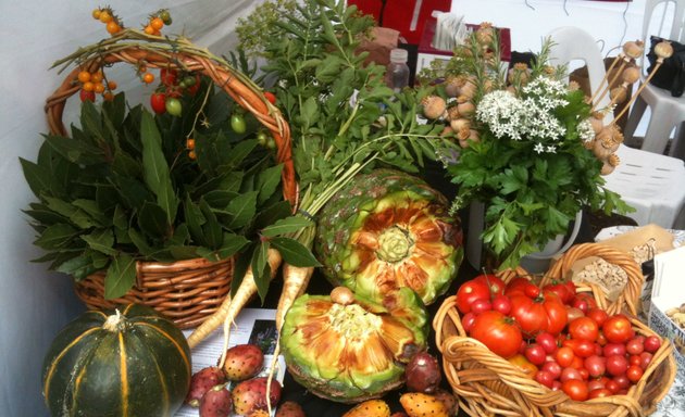 Photo of Avondale Heights Community Garden