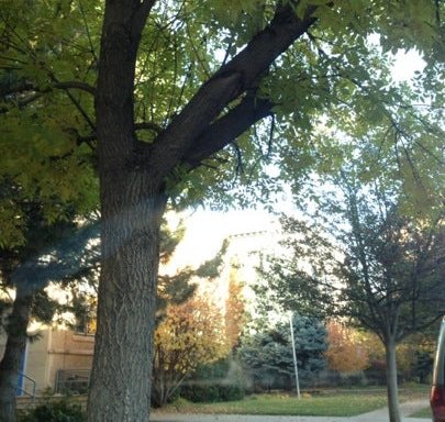 Photo of Blessed Sacrament Catholic Church