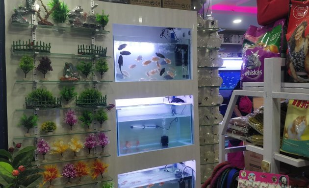 Photo of 5 star Aquarium and pets shop
