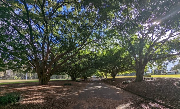 Photo of Yeronga Memorial Park