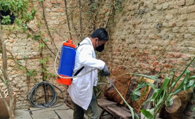 Foto de Fumigaciones Naturales