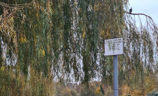 Photo of Harrow Lodge Park Lake and Wildfowl