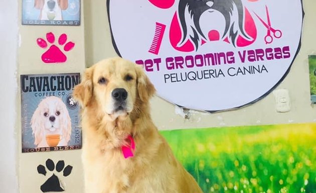 Foto de Veterinaria pet grooming Vargas