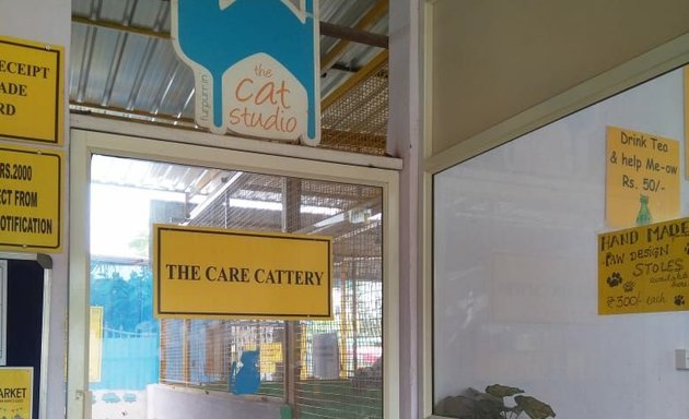 Photo of The Cat Studio @ CARE