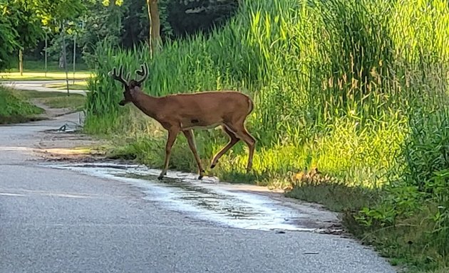 Photo of Taylor Creek Park