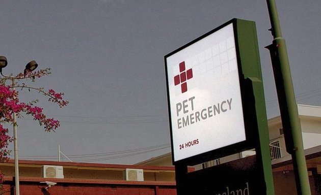 Photo of Pet Emergency