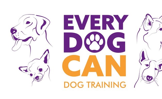 Photo of Every Dog Can Dog Training