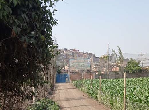 Foto de Campo deportivo SAN AGUSTIN DEL ZORRO