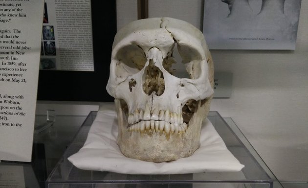 Photo of Warren Anatomical Museum