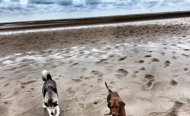 Photo of Woofpatrol Dog Walking Services And Pet Sitter, Blackpool