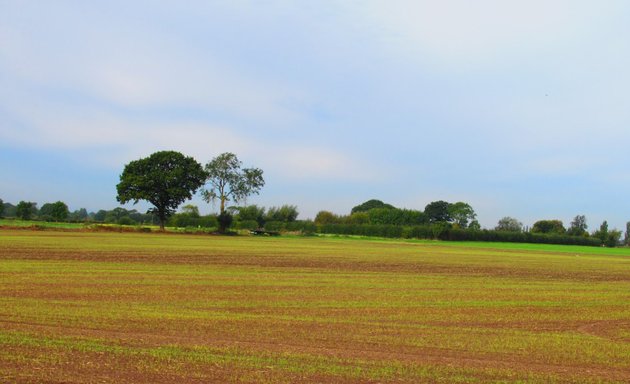 Photo of Moor Lane Bridleway