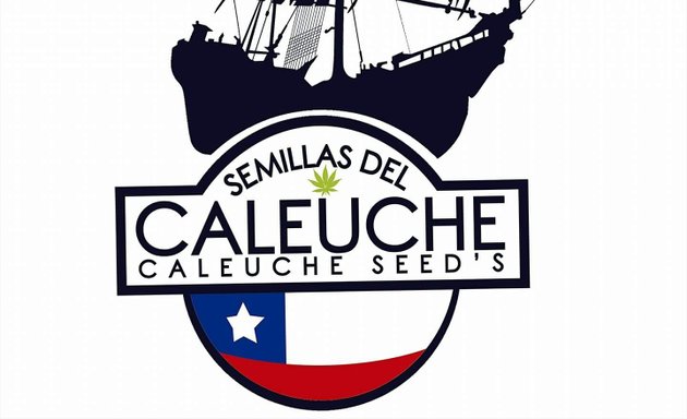 Foto de Semillas Del Caleuche