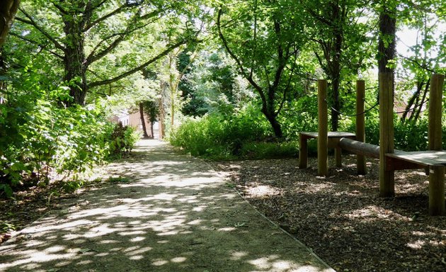 Photo of Dunstan's Wood