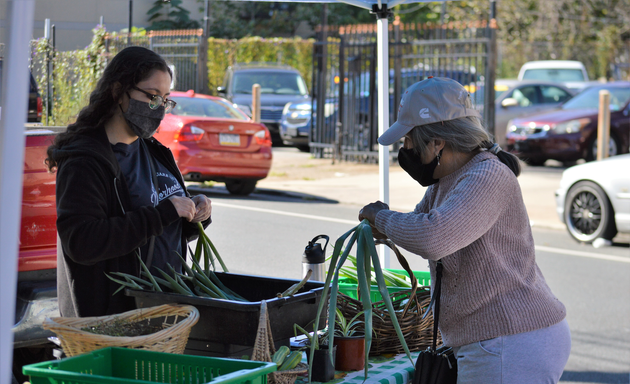 Photo of Raíces (Norris Square Neighborhood Project)