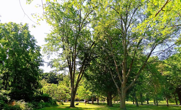 Photo of UTSC Valley