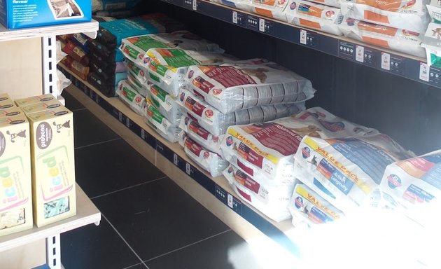 Photo of Absolute Pets Kloof