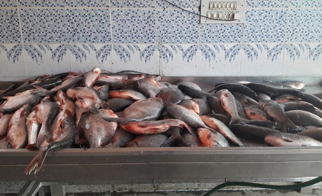 Photo of S.A Royal Fish Stall