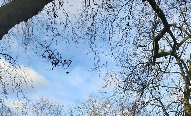 Photo of Ladywell Fields Adventure Playground