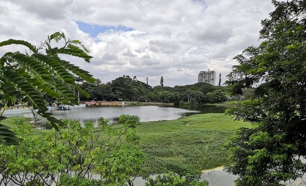 Photo of Lotus Pond - Lalbagh