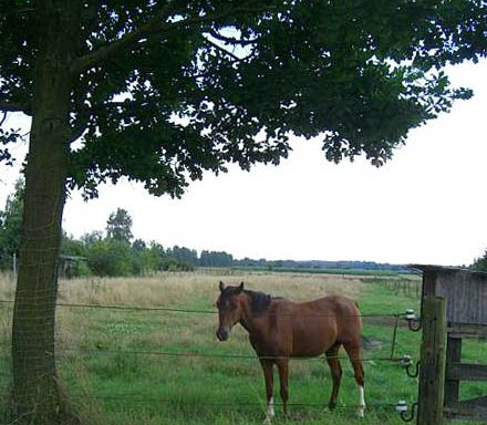 Foto von NEUCON Immobilien, Shakeela Klemt