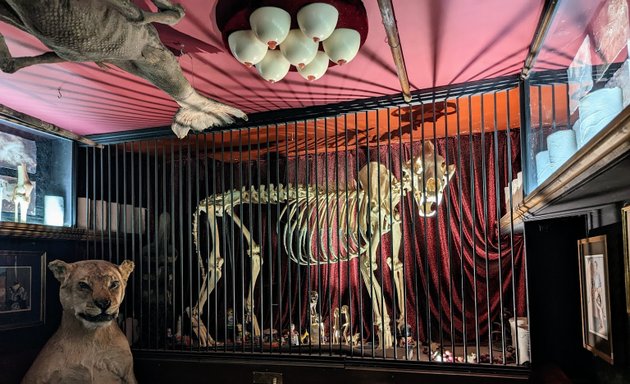 Photo of The Viktor Wynd Museum of Curiosities, Fine Art & UnNatural History