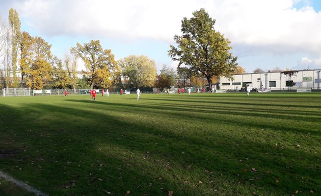 Foto von Füchse Berlin Reinickendorf e. V.