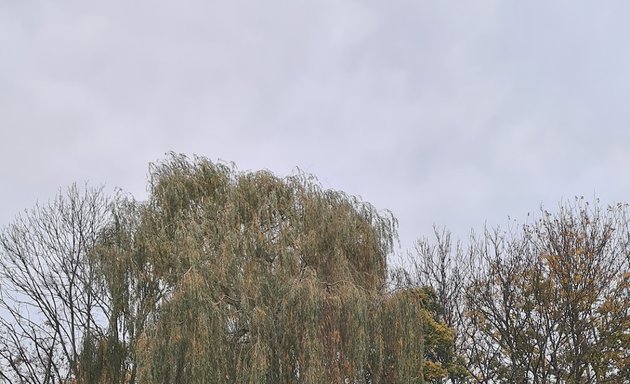 Photo of Harrow Lodge Park Lake and Wildfowl