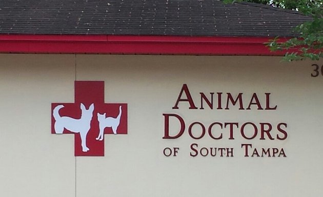 Photo of Animal Doctors of South Tampa