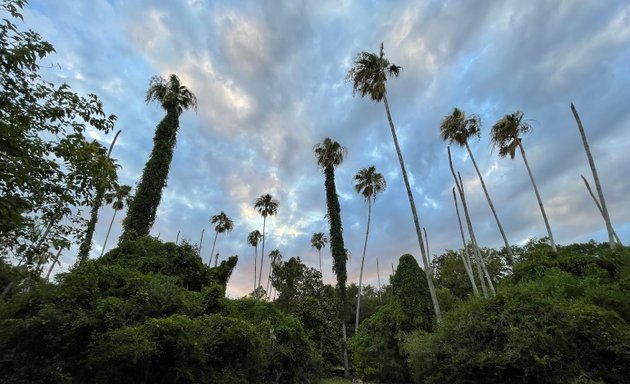 Photo of McKay Bay Nature Park