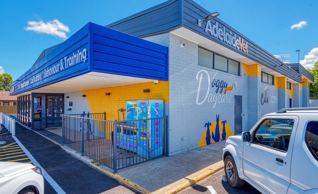 Photo of Doggy Daycare by AdelaideVet
