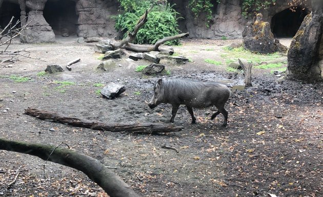 Photo of Woodland Park Zoo