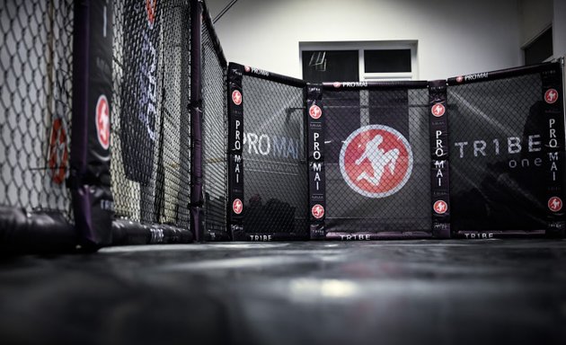 Photo of PRO MAI MMA Academy