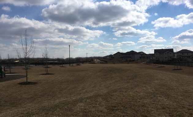 Photo of Maple Crest Playground