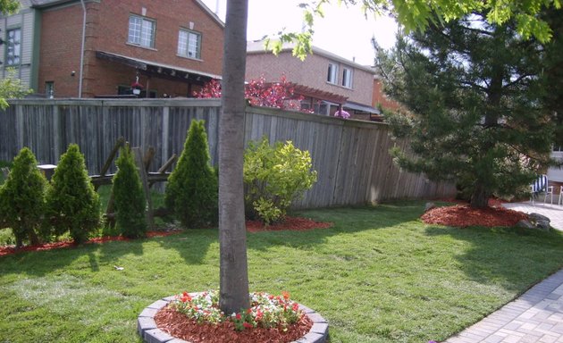 Photo of Greenerland Tree&Garden Services